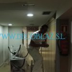 Pintor clinica privada madrid