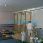 Pintores profesionales gimnasio